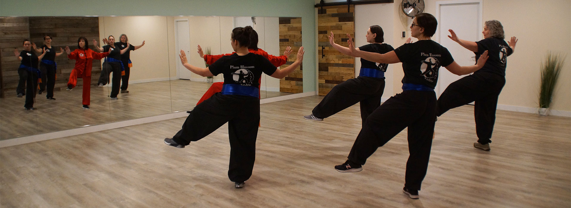 Plum Blossom Tai Chi in Airdrie is proud to present a few photos of our students hard at work!